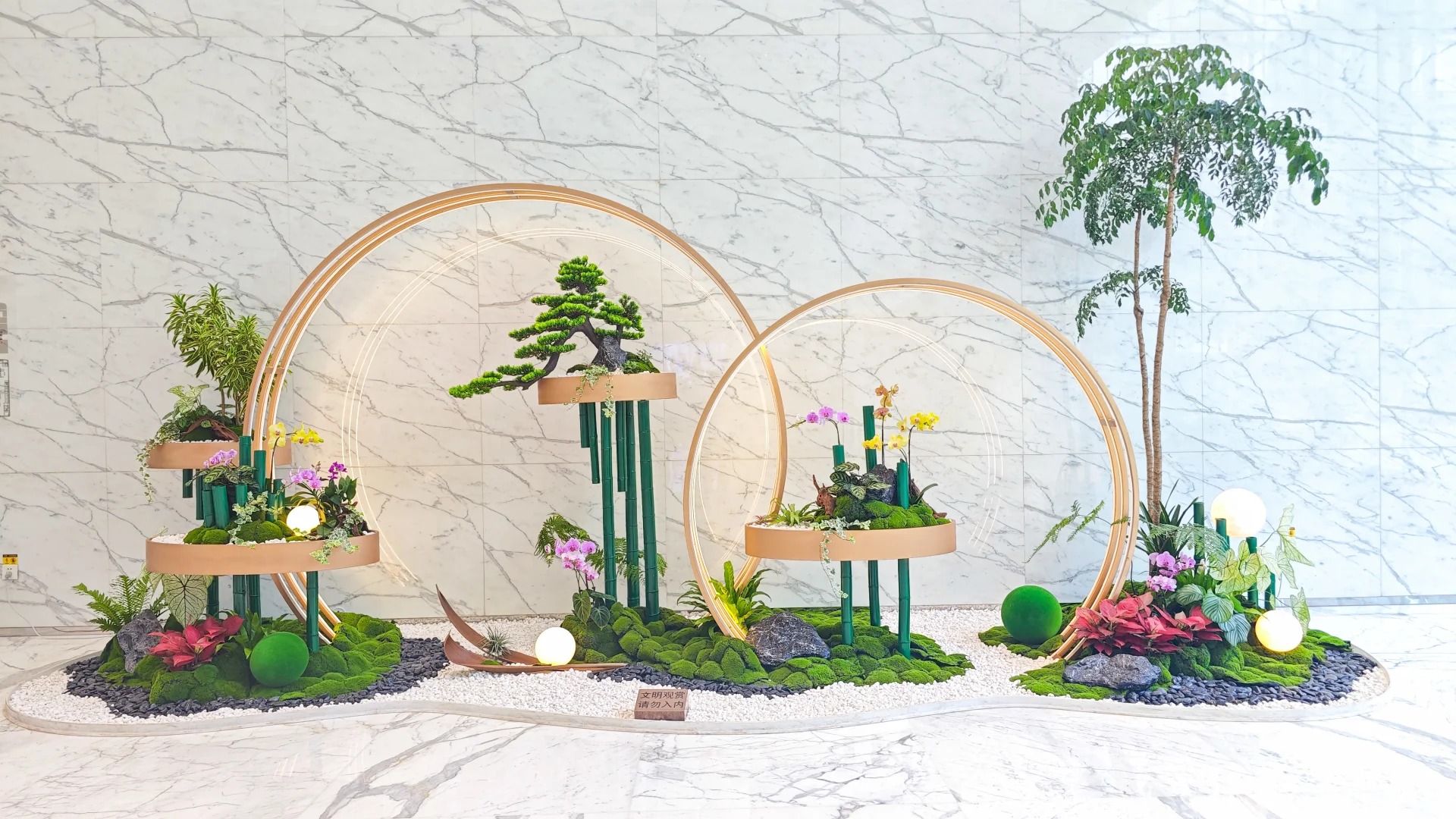 专业花木出租,让宁波镇海处处绿意盎然